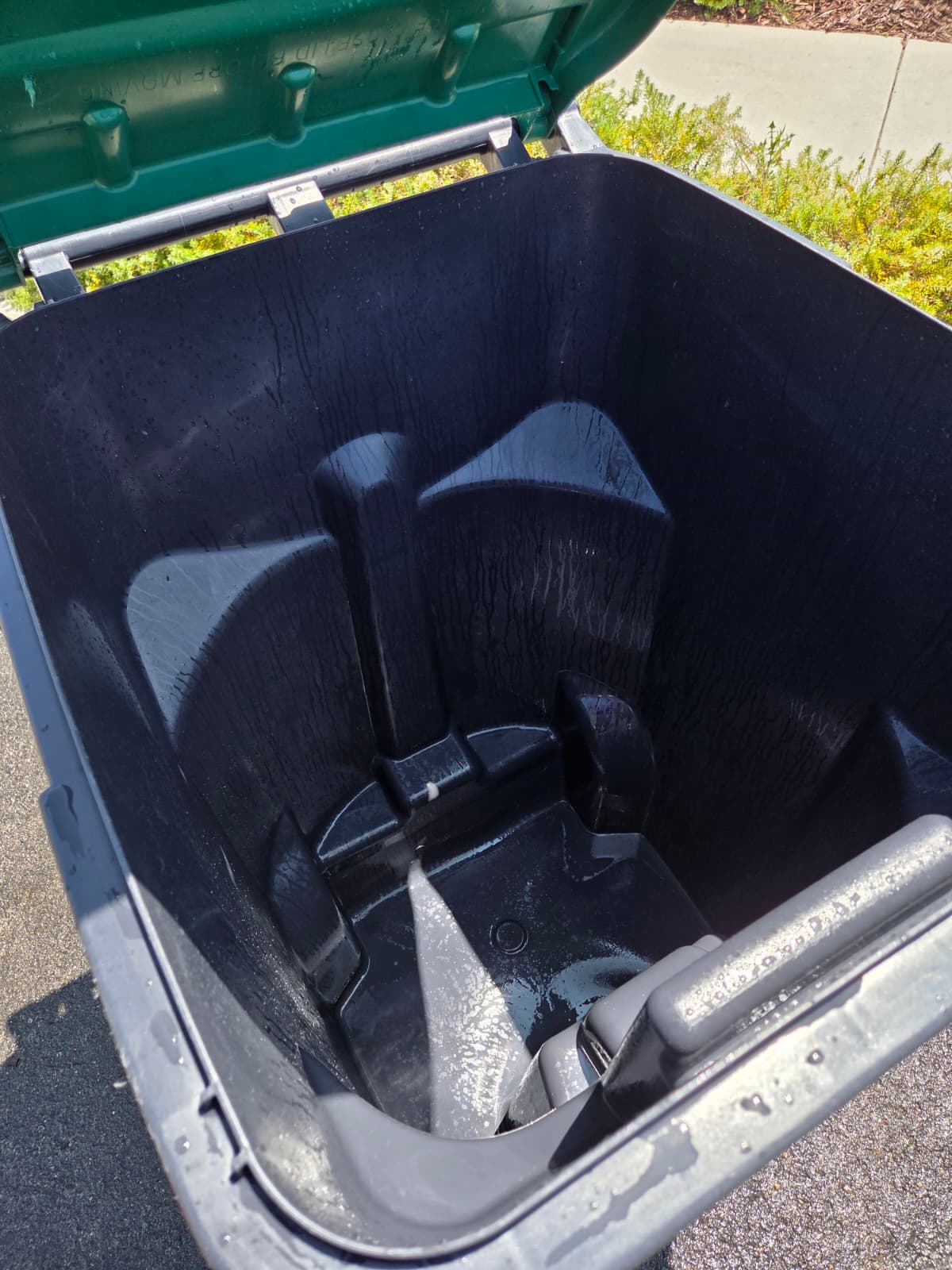 Trash bin after cleaning